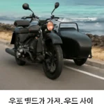 우도 사이드카 렌트