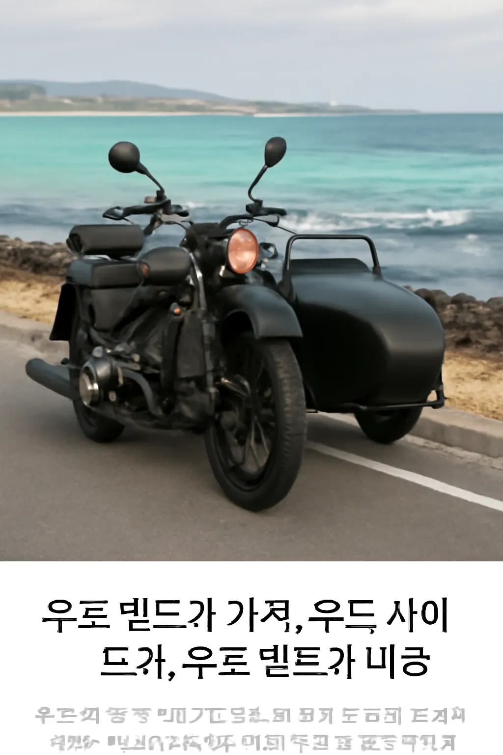 우도 사이드카 렌트